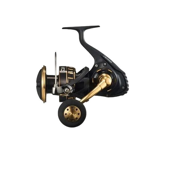 DAIWA BG SW